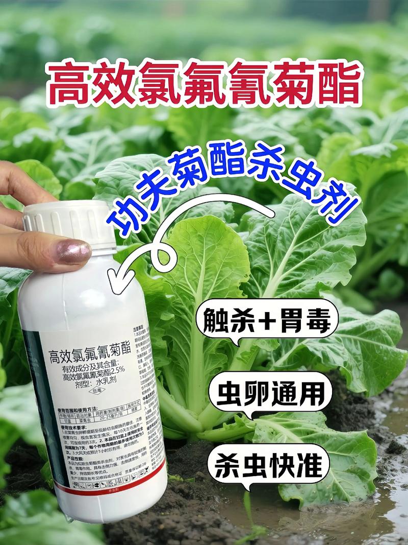 临沂代生中心:农药对供卵代生妈妈的危害